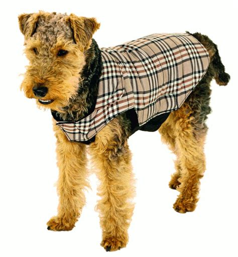 manteau petit chien imitation burberry